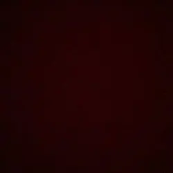 군플섭, OnlyFans gratis