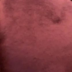 Mollymoon, OnlyFans gratis